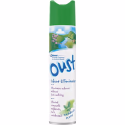 Oust Odour Eliminator Aerosol Air Freshener, Outdoor Scent, 300ml