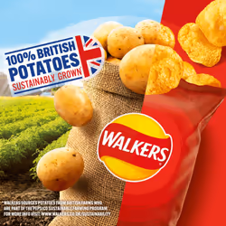Giant Crisps Multipack Snack Box - Pack of 66 x 25g Assorted Classic Walkers Crisps Bulk Buy. Multipack Crisps Potato Snacks with Topline Card for