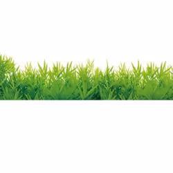 Green Grass Baseboard PVC Skirting Line Wall Sticker Living Kids