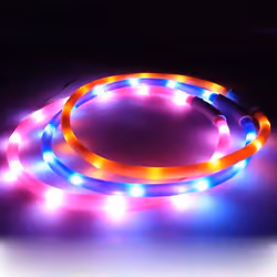USB Rechargeable LED Flashing Light Band Glow Safety Belt Pet Dog Puppy Collar