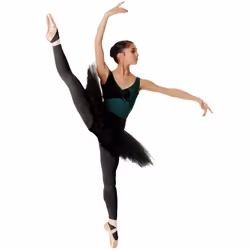 , Black) Silky Womens/Ladies Dance Ballet Tights Convertible (1 Pair) - X-Large (5ft6â-5ft10â