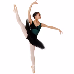 , Tan) Silky Womens/Ladies Dance Ballet Tights Convertible (1 Pair) - X-Large (5ft6â-5ft10â