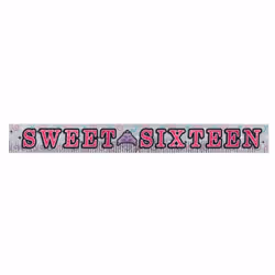 Amscan Sweet 16 Birthday Party Fringed Glitter Banner