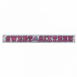 Amscan Sweet 16 Birthday Party Fringed Glitter Banner