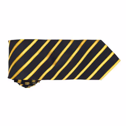 Premier Mens Sports Stripe Pattern Formal Work Tie - One Size, Black/ Gold