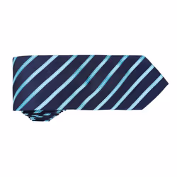 Premier Mens Sports Stripe Pattern Formal Work Tie - One Size, Navy/ Turquoise