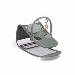 Tempo 3-in-1 Rocker/Bouncer, Lightweight, 3-Point Harness and Easily Removable Magnetic Toy Bar, Ivy