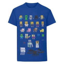 Minecraft Childrens/Boys Official Sprites Character T-Shirt