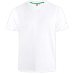 Duke Mens D555 Kingsize Signature-1 Cotton T-Shirt - 6XL, White