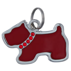 Trixie Fancy I.D. Tag - ASRTD - Bone, Assorted