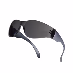 Delta Plus Brava 2 Safety Glasses - One Size, Smoke