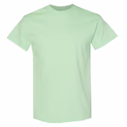 Gildan Mens Heavy Cotton Short Sleeve T-Shirt - L, Mint Green