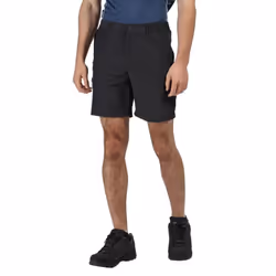 Regatta Mens Leesville II Walking Shorts - 42in, Ash
