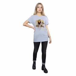 Star Wars: The Last Jedi Womens/Ladies Porg Brushed Cotton Boyfriend T-Shirt - S, Sports Grey