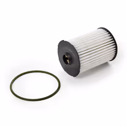 BLUE PRINT ADBP210160 Oil filter with seal ring Filter Insert FIAT: Ducato III Van, Ducato III Platform / Chassis, Ducato III Minibus