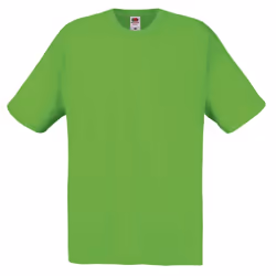Fruit Of The Loom Mens Screen Stars Original Full Cut Short Sleeve T-Shirt - 3XL, Lime