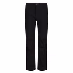 Regatta Great Outdoors Childrens/Kids Dayhike II Stretch Trousers - 13 Years, Black