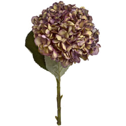 Hill Interiors Artificial Autumn Hydrangea - One Size, Coffee