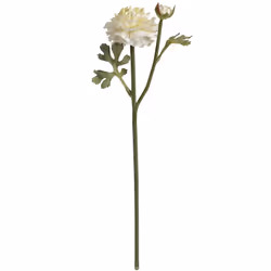 Hill Interiors Artificial Ranunculus Spray - One Size, Green