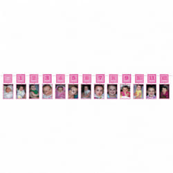 Amscan Baby Photo Garland Banner - One Size, Pink