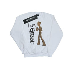 Marvel Boys Avengers Infinity War Graffiti Groot Sweatshirt - 12-13 Years, White