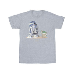 Star Wars Boys The Mandalorian R2D2 And Grogu T-Shirt - 12-13 Years, Sports Grey