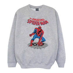 Marvel Mens The Amazing Spider-Man Sweatshirt - M, Sports Grey