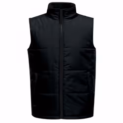 Regatta Mens Access Insulated Bodywarmer - XL, Black