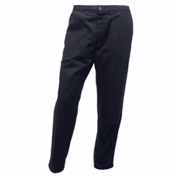 Regatta Mens Pro Cargo Waterproof Trousers - Long - 30in, Grey Blue