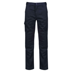 Regatta Mens Pro Cargo Waterproof Trousers - Regular - 40in, Grey Blue