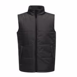 Regatta Standout Mens Access Insulated Bodywarmer - S, Seal Grey/Black
