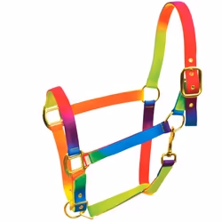 Roma Rainbow Headcollar - Pony, Rainbow
