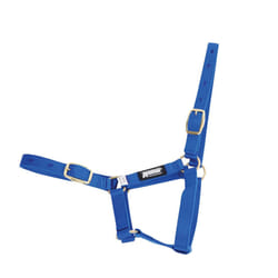 Roma Foal Headcollar - Foal, Blue