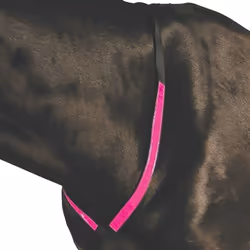 Roma Reflective Breastplate