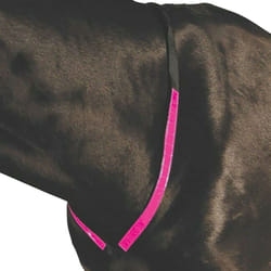 Roma Reflective Breastplate
