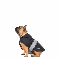 Trespass Butch Touch Fastening Softshell Dog Jacket - XXS, Black