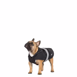 Trespass Butch Touch Fastening Softshell Dog Jacket - XXS, Black
