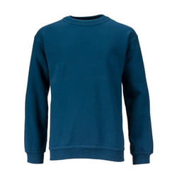 James and Nicholson Childrens/Kids Round Heavy Sweatshirt