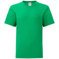 Fruit Of The Loom Childrens/Kids Iconic T-Shirt - 12-13 Years, Kelly Green