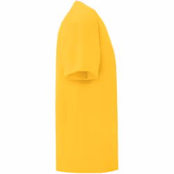 Fruit Of The Loom Boys Iconic T-Shirt - 5-6 Years, Sunflower Yellow