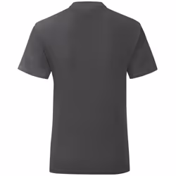 Fruit Of The Loom Mens Iconic T-Shirt - L, Light Graphite Grey