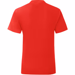 Fruit Of The Loom Mens Iconic T-Shirt - L, Red