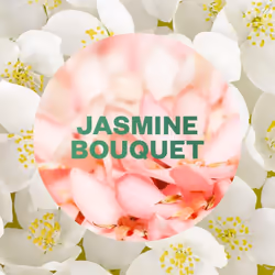 AirWick 24/7 Active Fresh Aerosol Free Automatic Spray Jasmine Bouquet
