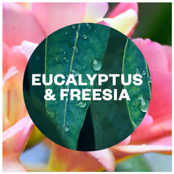 Air Wick Eucalyptus & Freesia Aerosol-Free Automatic Spray Refill 228ml x 4 pack - Additional view 4