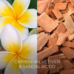Air Wick Botanica Scented Oil for Electrical Plug Diffuser Caribbean Vetiver and Sandalwood Refill x7, 19 ml