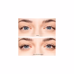 Lash Supreme Volume Primer, with Keratin and Castor Oils to Instantly Condition, Thicken and Lengthen Lashes, 7.5ml