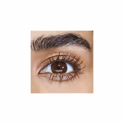 SuperShock Volume Loader Mascara Brown Black, with Lash Primer Technology for All-Day Lash Volume, 10ml