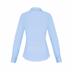 Premier Womens/Ladies Stretch Fit Poplin Long Sleeve Blouse - 2XL, Pale Blue