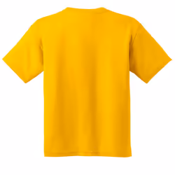 Gildan Childrens Unisex Heavy Cotton T-Shirt (Pack Of 2) - XS, Daisy