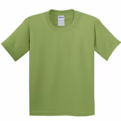 Gildan Childrens Unisex Heavy Cotton T-Shirt (Pack Of 2) - XS, Kiwi